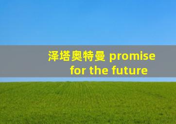 泽塔奥特曼 promise for the future